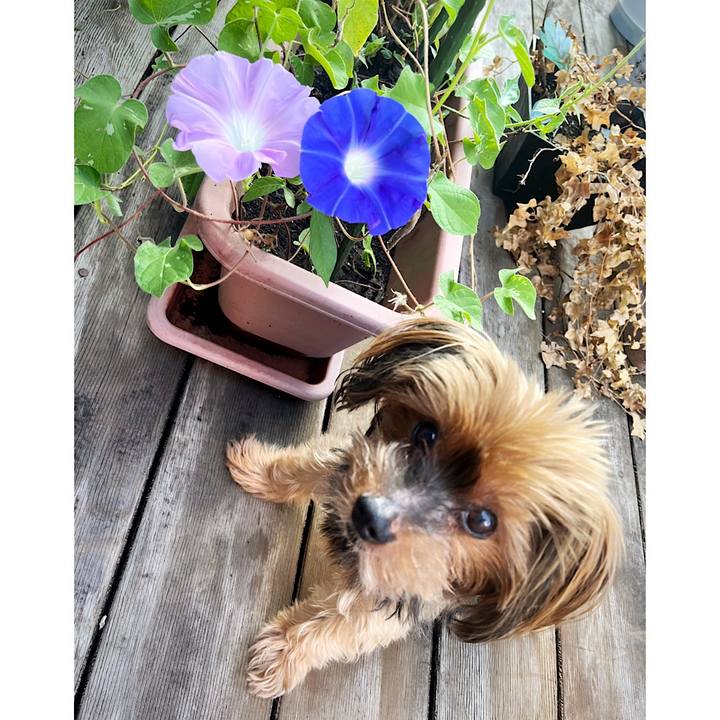 D3ddd400 20c2 4a1c b040 f7204e3e8f37 1723159581287