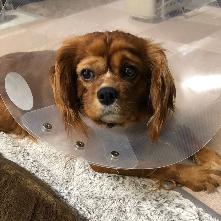 D3de0b35 bc53 4697 a6e4 32b194e7e220 1583360611191