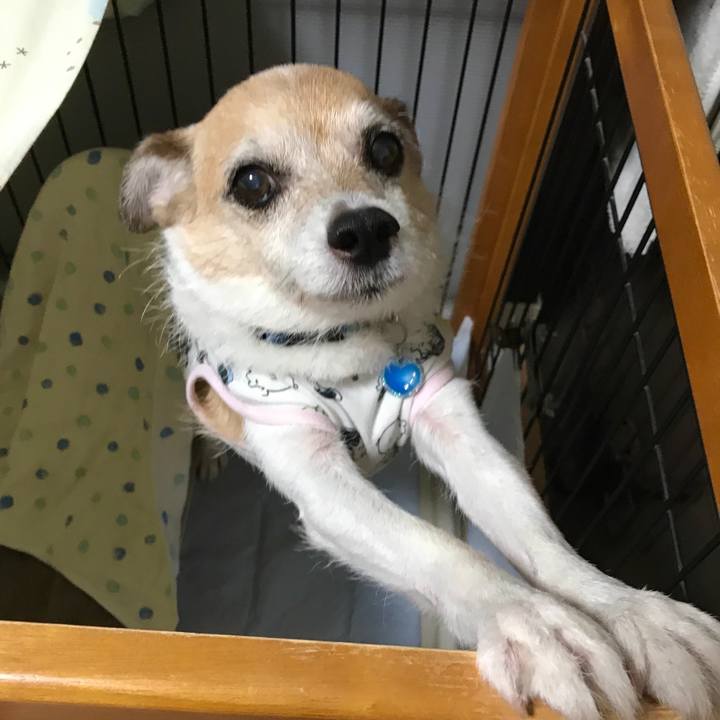 D3de382e c7e1 45c9 8193 cbca35b02dc6 1664488805686