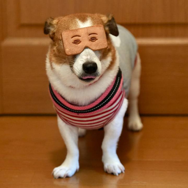 D3de65c2 4603 4103 97f7 a5c0a40fc82c 1760357561550