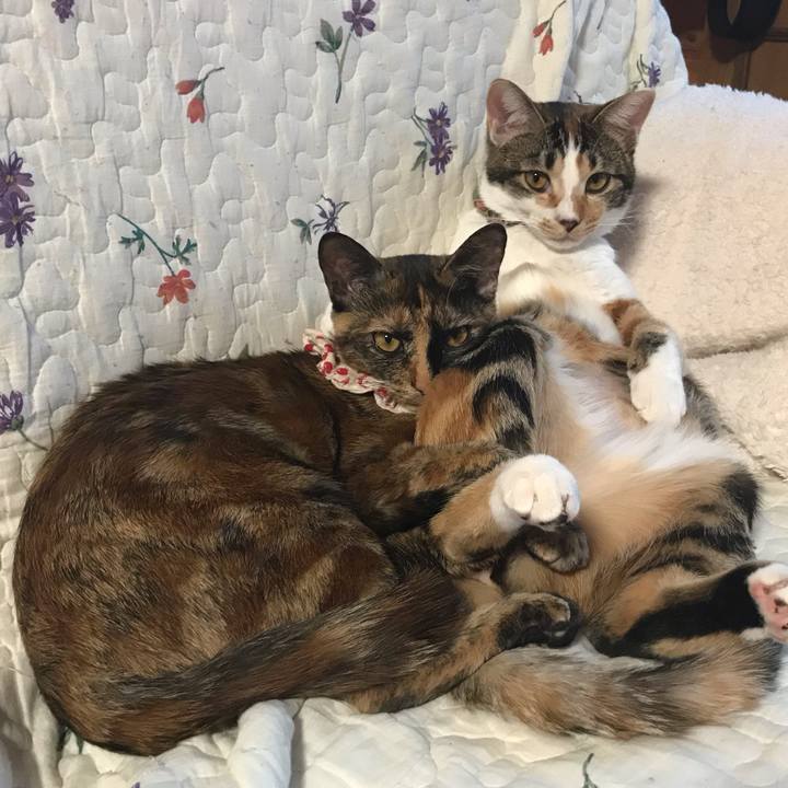 D3de98c7 c11a 46cf ab74 1c9d01a25b46 1613893623526