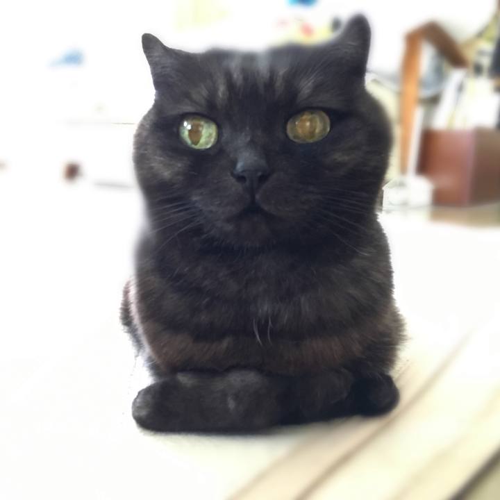 D3dea4b6 6352 4b20 b072 29de5e0627ec 1526772709566