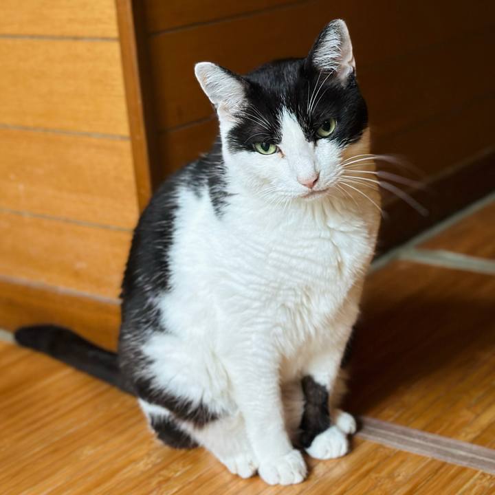 D3dec5d9 d211 45ea a6c2 01510582c88a 1720660396592