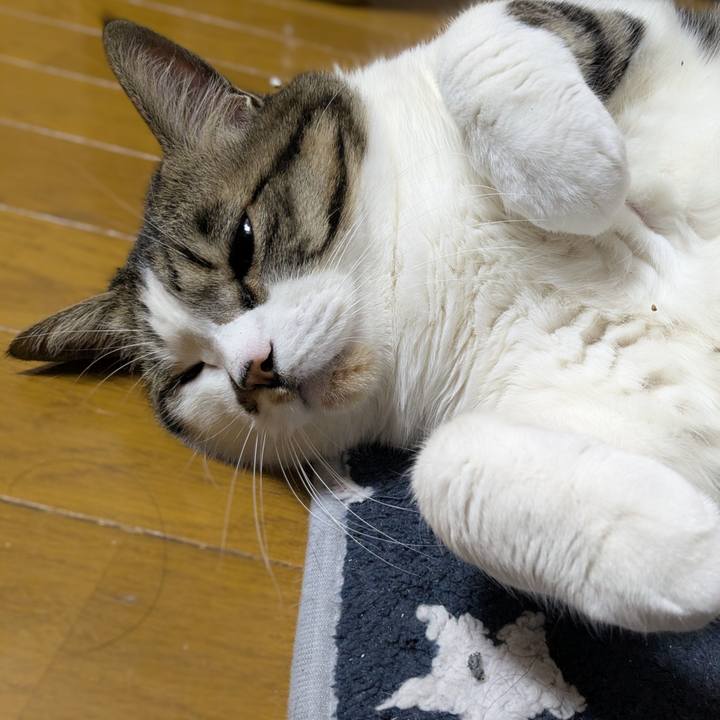 D3ded999 eaad 4d1e ae27 501f9aa3c127 1772924135769