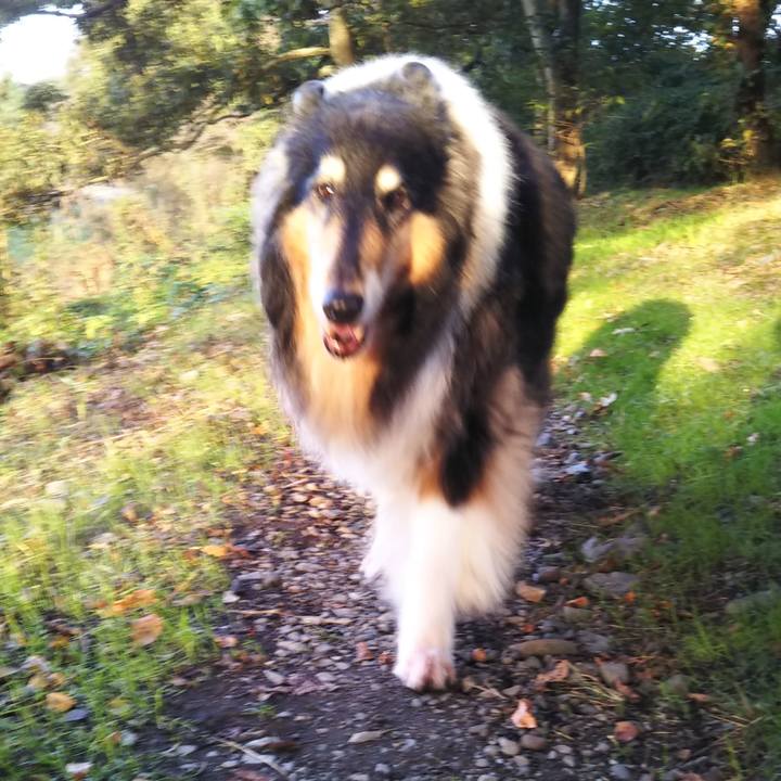 D3deeea9 c812 4352 9869 e15c4c281b18 1603715269511