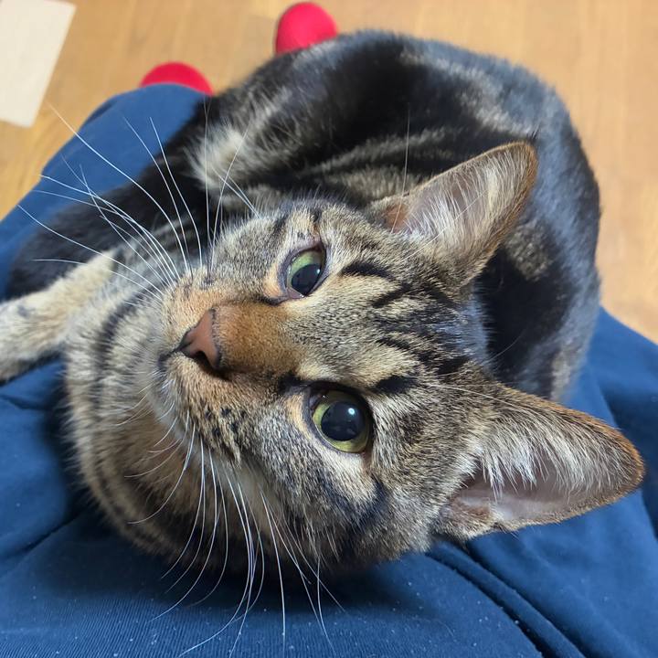 D3def1aa f344 4d8e a3ec 8219b8eb0d84 1764505823479