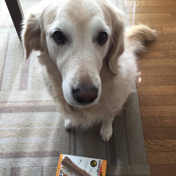 D3df2203 ef84 40e4 a0fa 48487663bfa4 1575001420832