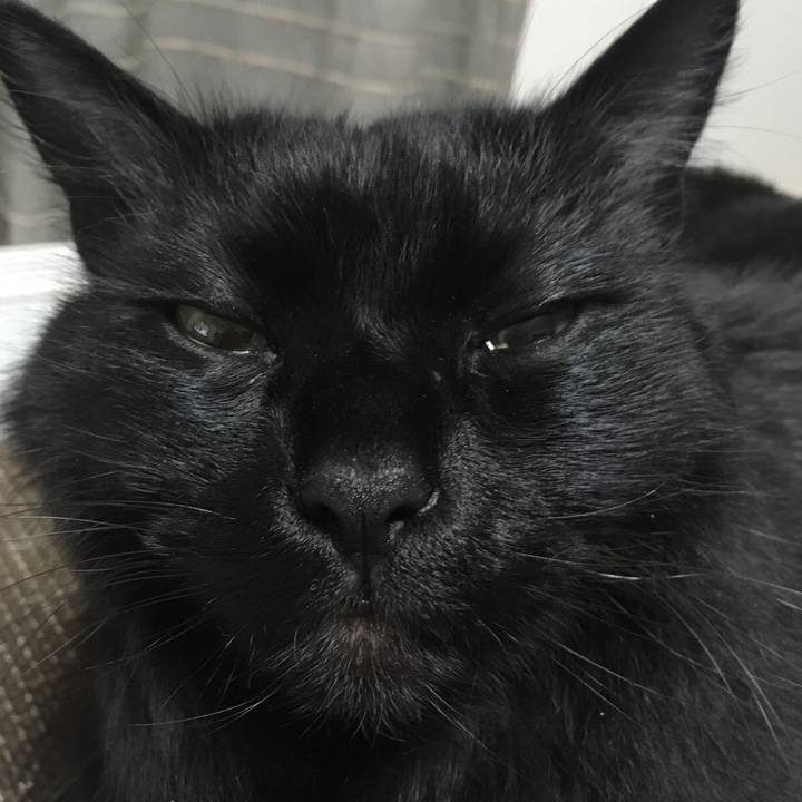 D3df3a1b be79 421e bab8 45c176ac3615 1518655946322