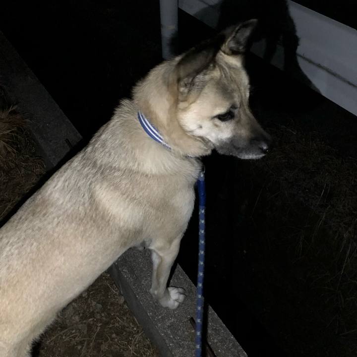 D3df5f71 9606 4c79 a0c4 8a59fe08ffd0 1543491727672