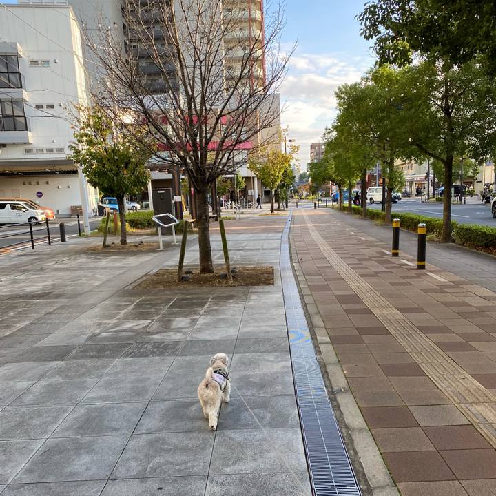 D3df72de 57d3 400b bee9 fad4767af3d8 1761220085108