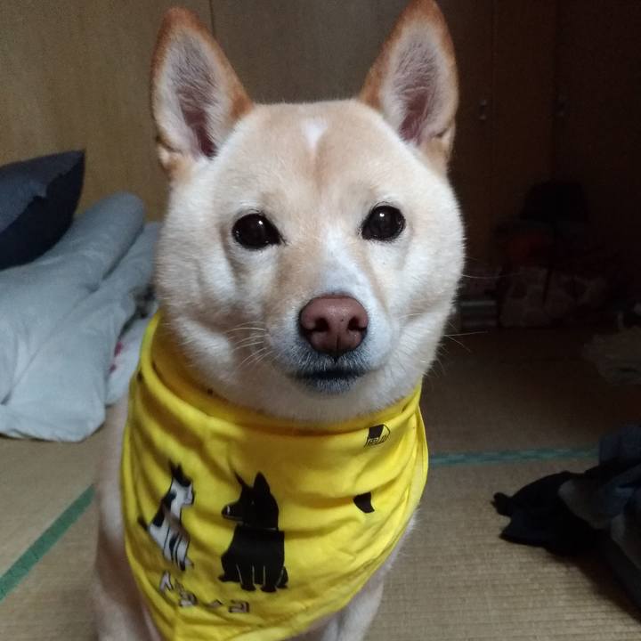 D3dfb90a 09b7 457a b8ee 4a159e32596a 1609414042390