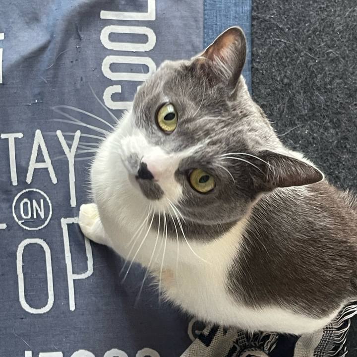 D3dfc4a4 c925 4674 bc04 f9e50242ed0a 1742254533070