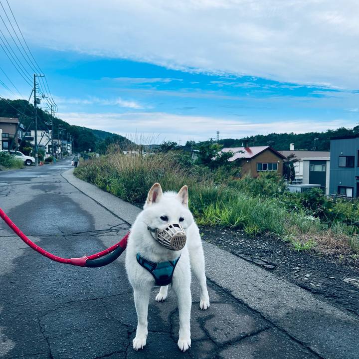 D3dfda4f 302e 4566 bfe5 670566463e44 1724798224414