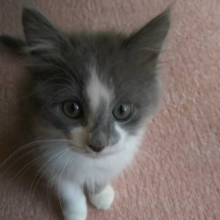 D3dfdf53 da0a 4d7b a70e 273e1e9e1831 1561446757294