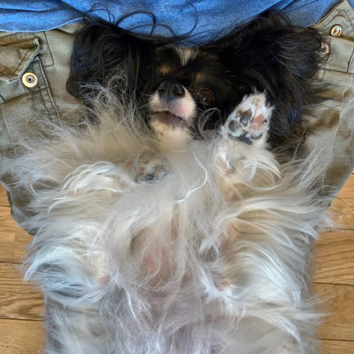 D3dfe9ff 927a 4d7d baf1 ce14b28818d1 1590979617921