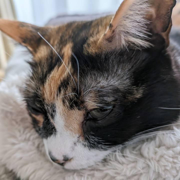 D3e0219f 43b5 4f7e 9760 fa3e724f3256 1709266587251