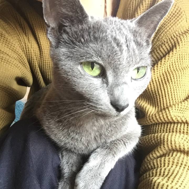 D3e08569 7413 49e3 ac2b 819b70293110 1521156439955