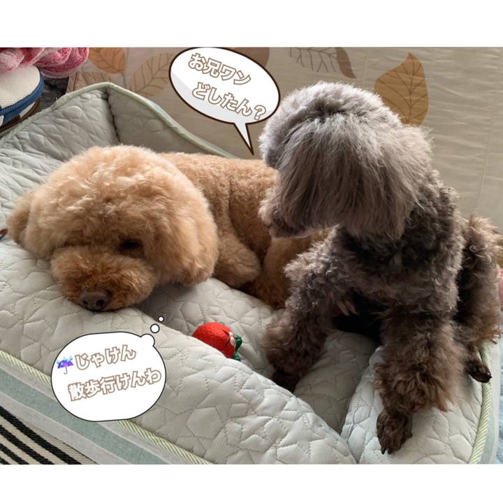 D3e0eb54 3747 4e6f 9b61 cfd48470165f 1561861975562