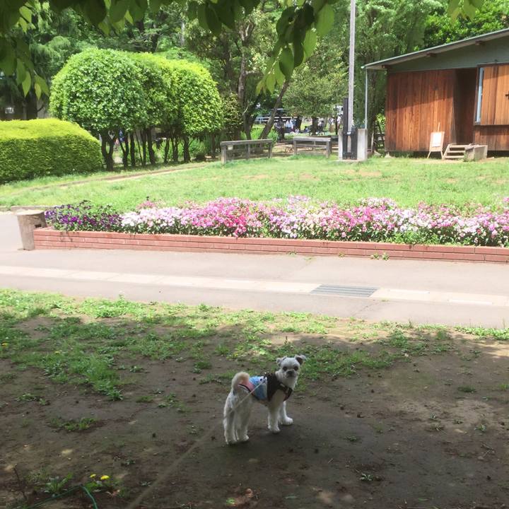 D3e0f957 e649 47fb 8bb9 61f10f3d7f7a 1557121930785