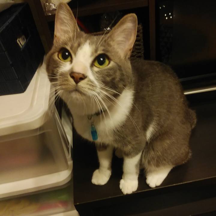 D3e14df8 6ec1 4de3 9f8e 240dd19aaf9b 1592135486169