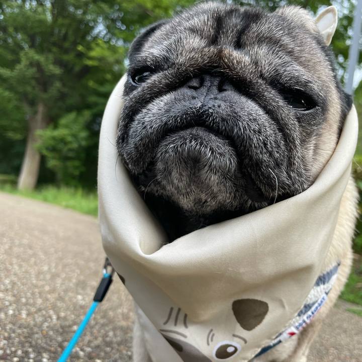 D3e15f34 a358 41b8 94bf dbd6471b6fcb 1624362418831