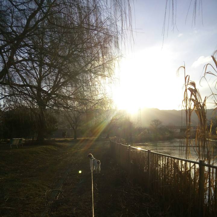 D3e1b00d 6ba2 4b23 abfe 3261e6f5e684 1518913428790