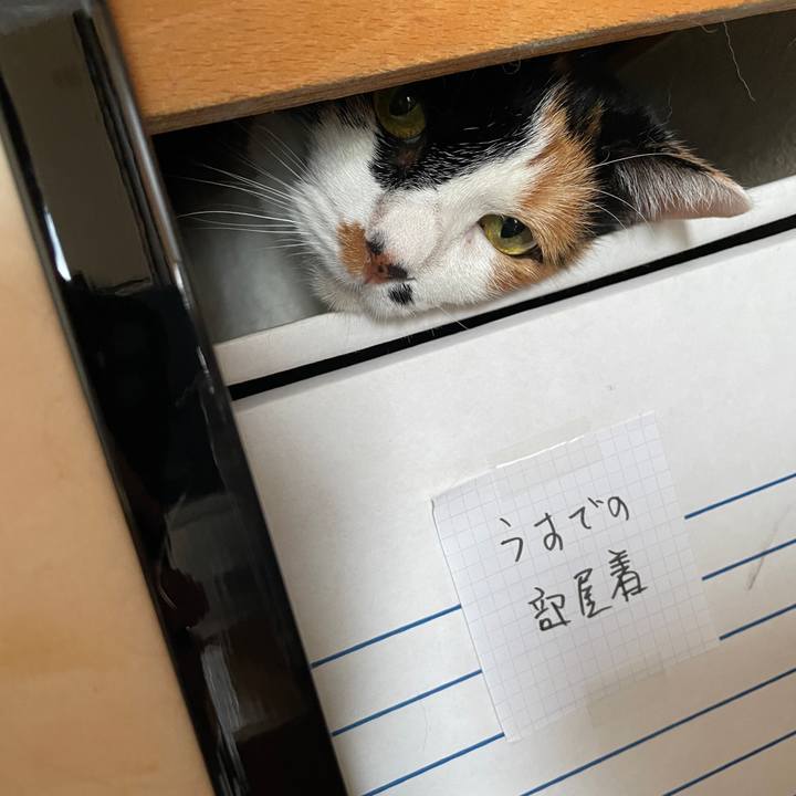 D3e1c654 af2a 45f1 a075 75c6d7d2a4be 1754130073992