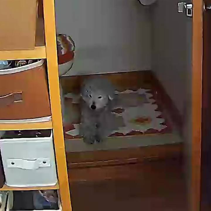 D3e1c698 e712 4cd6 ade2 d101e40f41ec 1615519157279