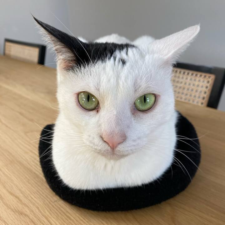 D3e1d355 f11e 466f 83d3 a389af542094 1749277367553