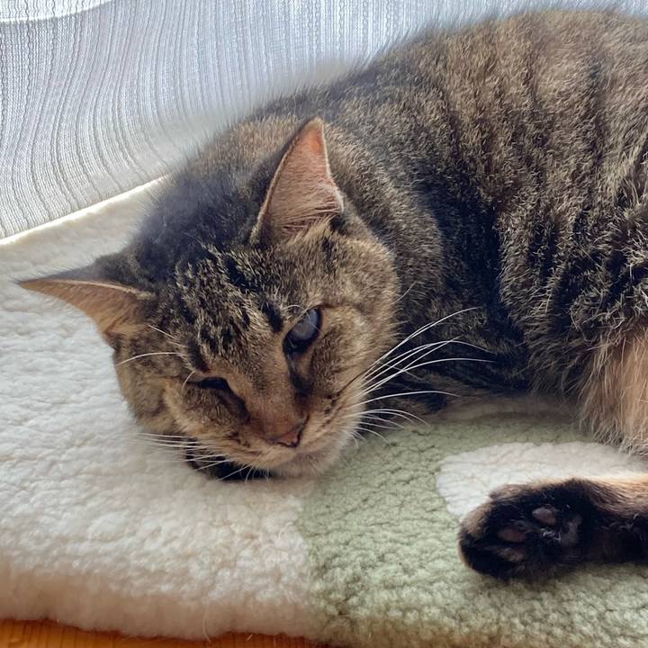 D3e1dada 2370 4474 938f 1b0fff47bcfe 1661918463583