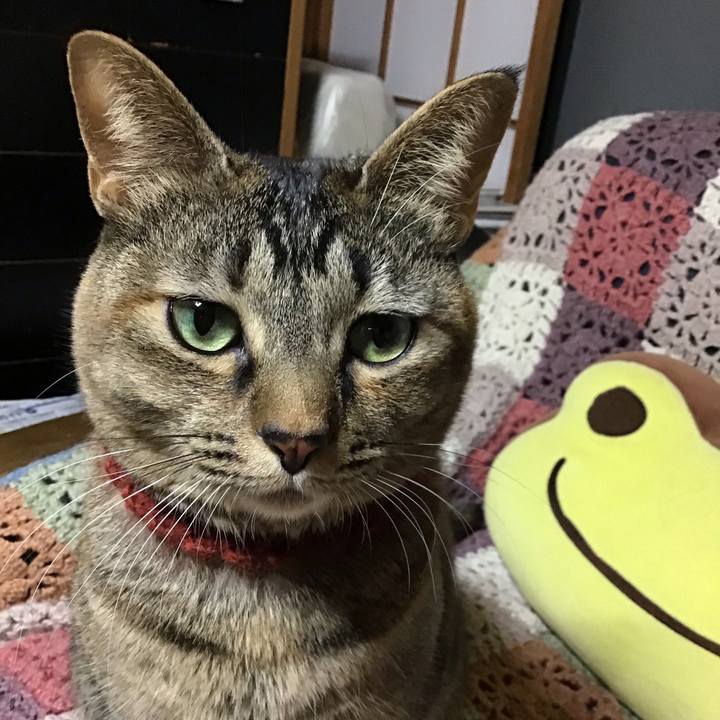 D3e1e2fe 6e5c 43b4 8d35 199c15636fd2 1639993276792