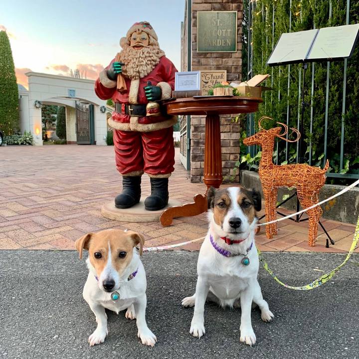 D3e200b2 2e38 45ef b7d4 620d836edfd0 1575806814406