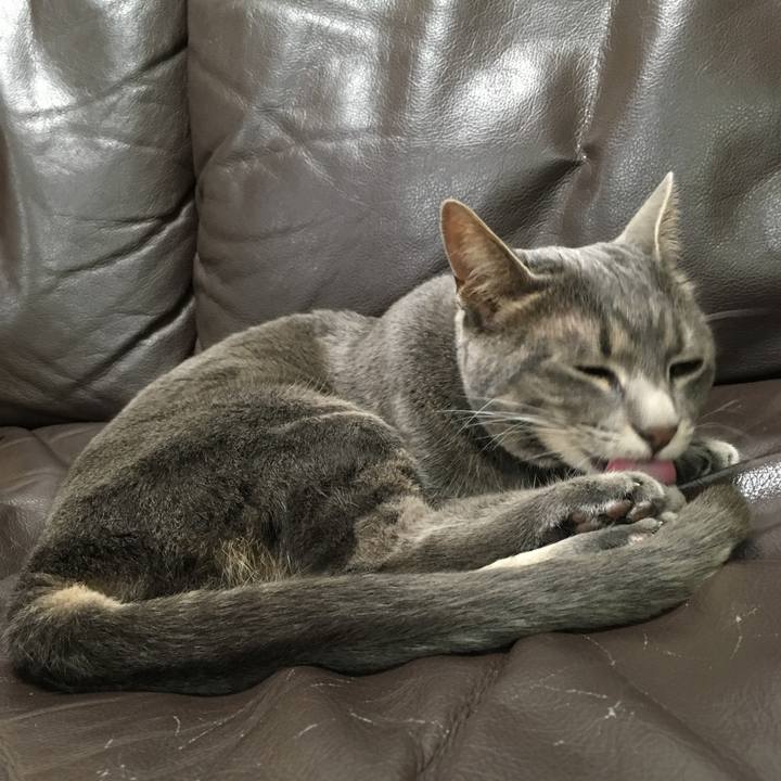 D3e224d1 201f 4de8 a556 aab4af476740 1559393377647