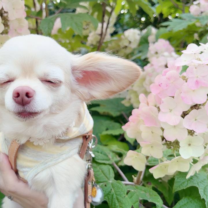 D3e230b7 8b90 4b3c ba8f f3e10ea07525 1687317137709