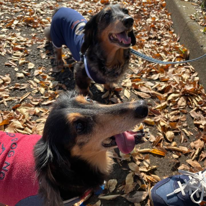 D3e28bc7 8533 4b48 91f8 33bd62afbaf3 1635940112727