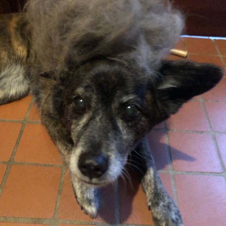 D3e2bad2 de26 47e5 be02 0d54d5b1444d 1654333566432