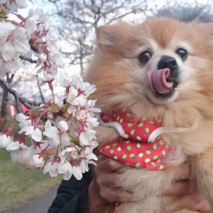 D3e2f953 7c6d 469a bfa5 a6db849ddafe 1523264485256