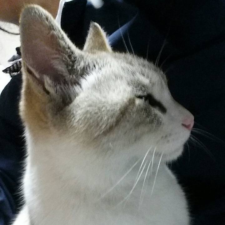 D3e30094 b8b6 440a 84a6 81adedd1b508 1518446497427