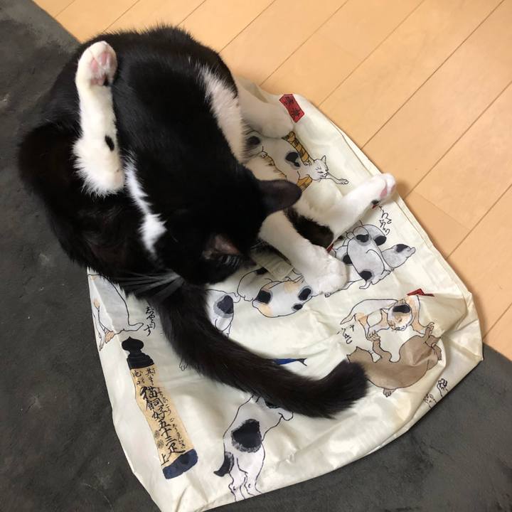 D3e304d7 1b86 416a ab93 2b8eecbe5e72 1551960584553