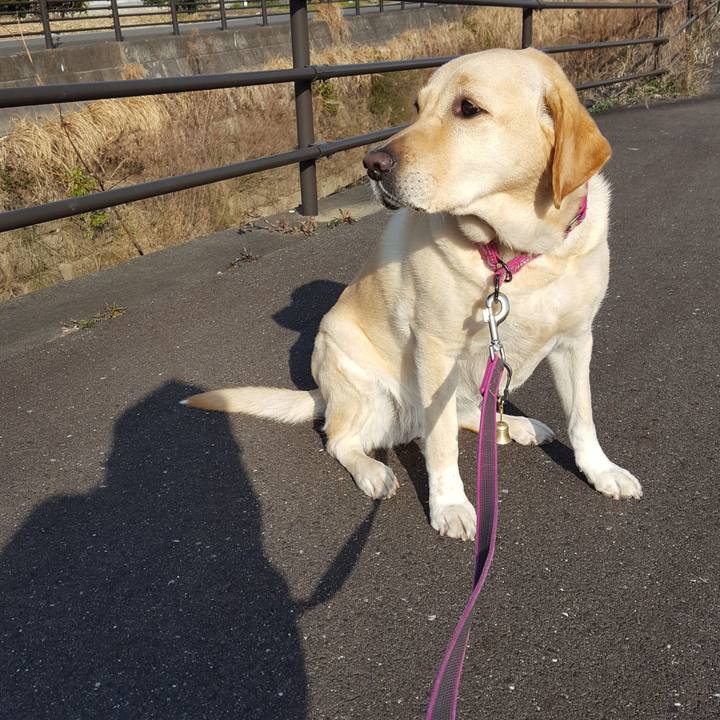 D3e3084b 170c 4299 b03a c71986dd2470 1520906869956