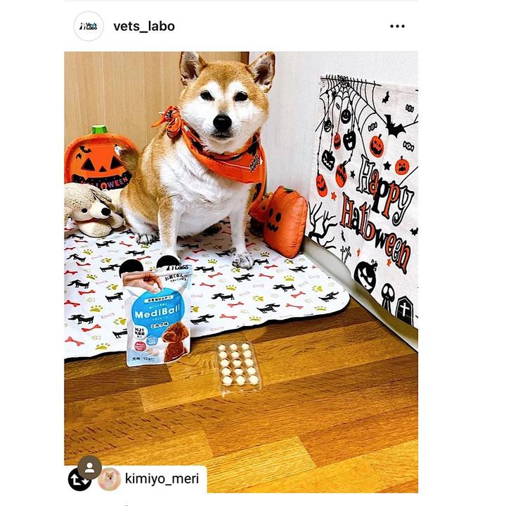 D3e384c4 7829 4139 97b1 911658b99794 1668763462485