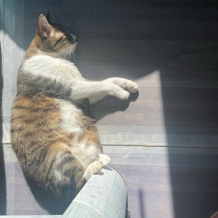 D3e38a59 c273 4a2a bc84 899961f1fb13 1637719217632