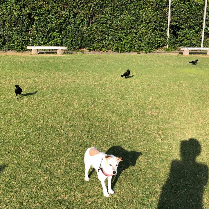 D3e396f8 39df 4f89 aae7 fac9b5727ff9 1656321465301