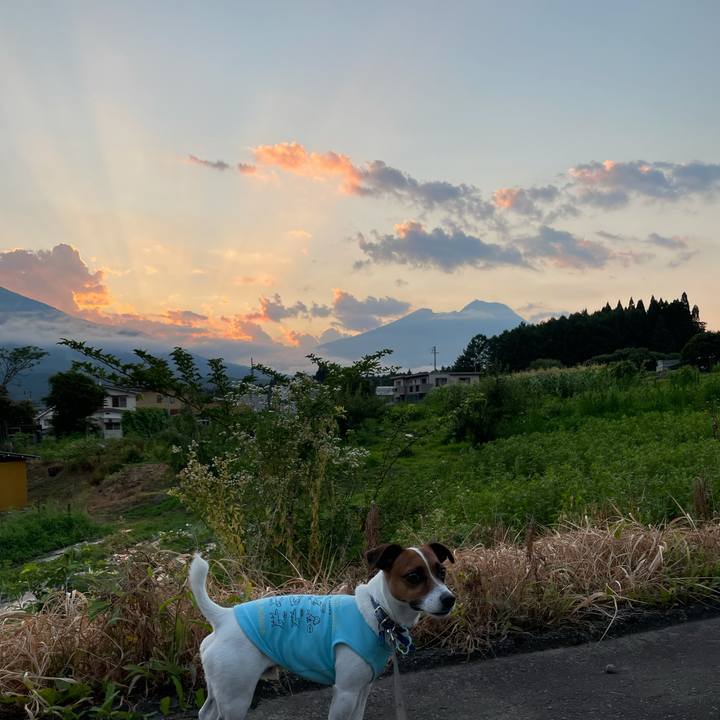 D3e3bd1a 9a91 4ca7 bdc8 65f00311f168 1626692537432