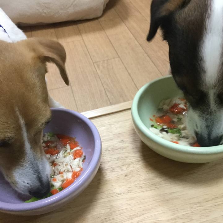 D3e3c3bc f09f 43ea 95ec 57e2f3a9aef5 1552478870539