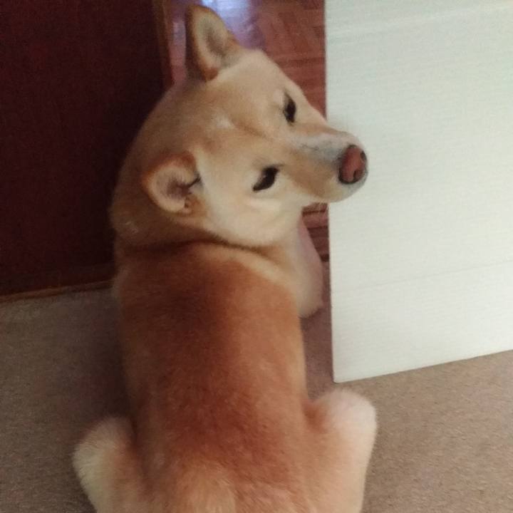 D3e3e7ec 9af3 4a89 9980 9e113ecd45a5 1530415104871