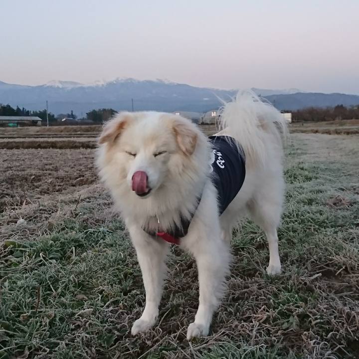 D3e49110 1149 4062 93ba c3660e1f72b0 1511818520143