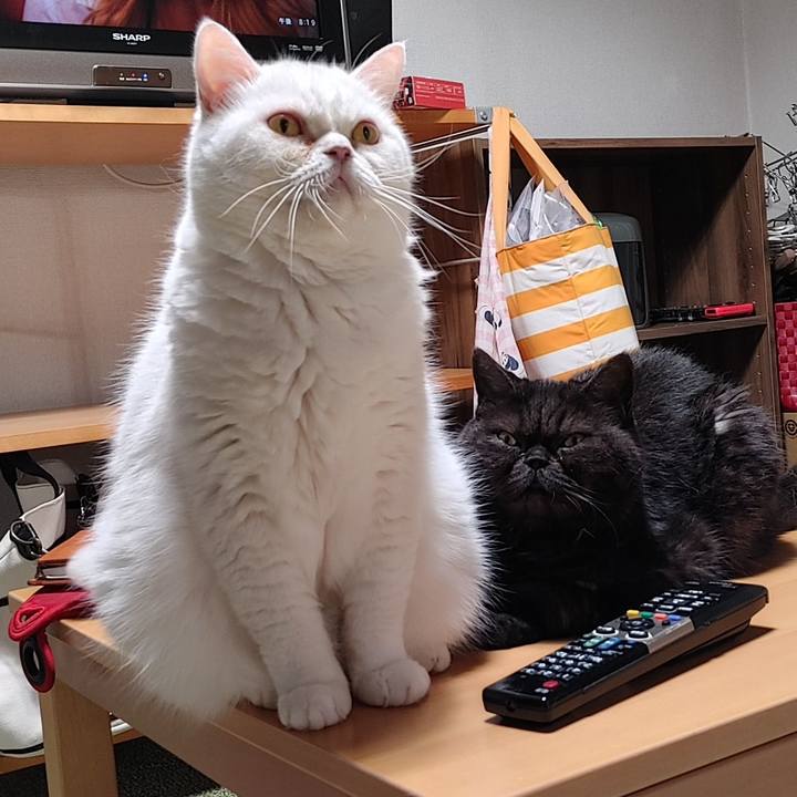 D3e491e5 3782 401d a125 799ae31fcb52 1633908038611