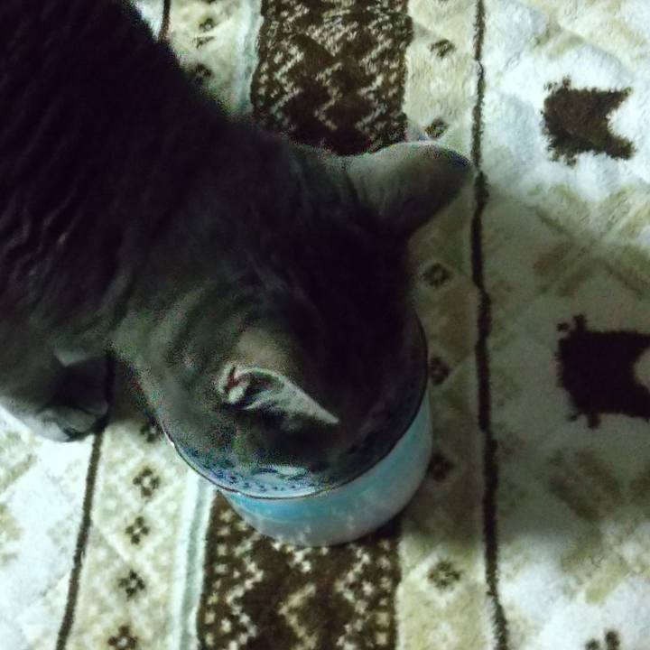 D3e4a771 4191 4db2 b9e9 0c45ef96f549 1674854363500