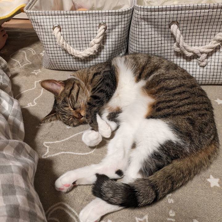 D3e4b982 b81d 4595 a1c1 5eb9418b5942 1700480279100